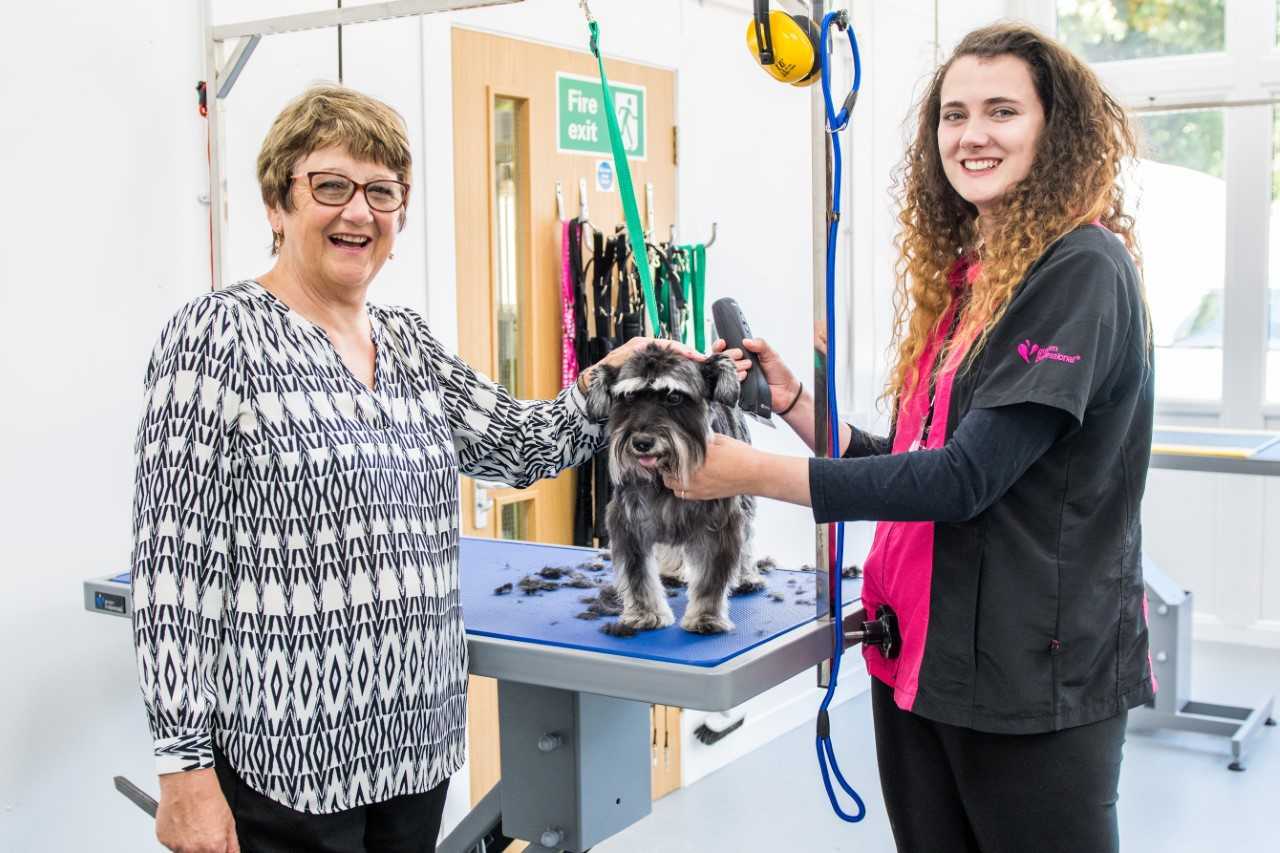 pet grooming school